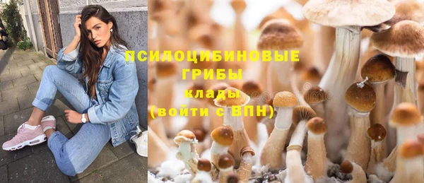 ALPHA PVP Киренск