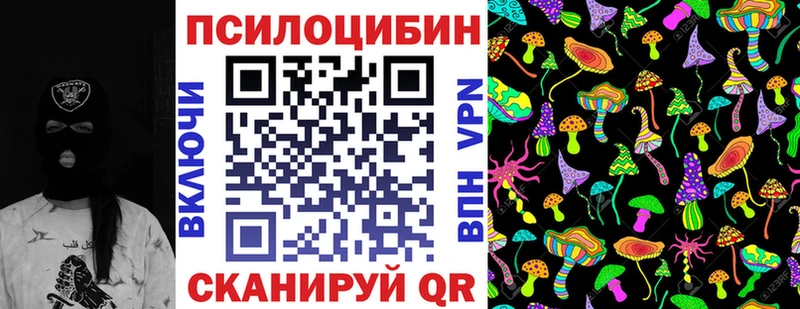 Псилоцибиновые грибы GOLDEN TEACHER Купить закладки Новосокольники